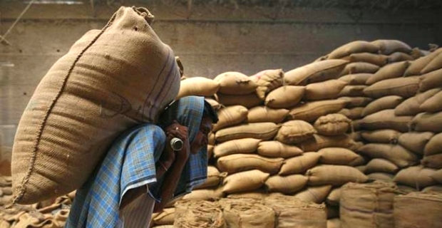 Topic  Food and Nutrition Se