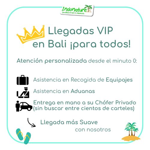 Llegadas VIP