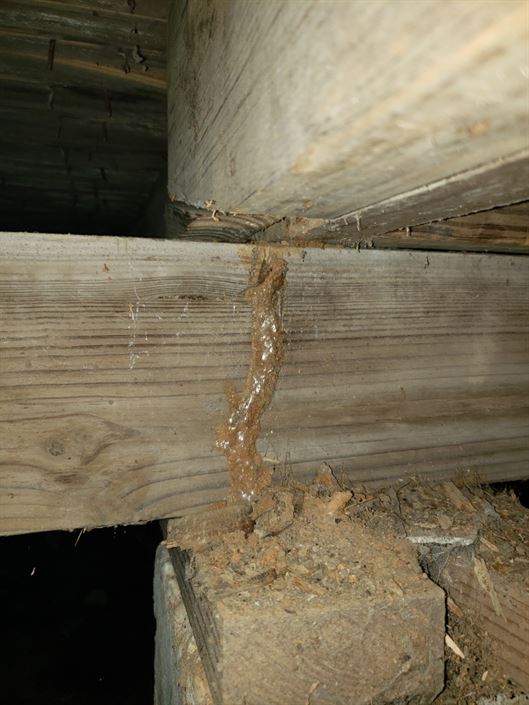 Bugbusters In Action Bugbusters Exterminating - Ocean Photos - Beautiful Retina Collection