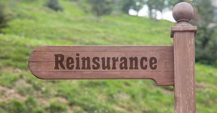 La Definici N De Reaseguro Est Cambiando Inese - Colorful Pattern Collection - Full HD Quality