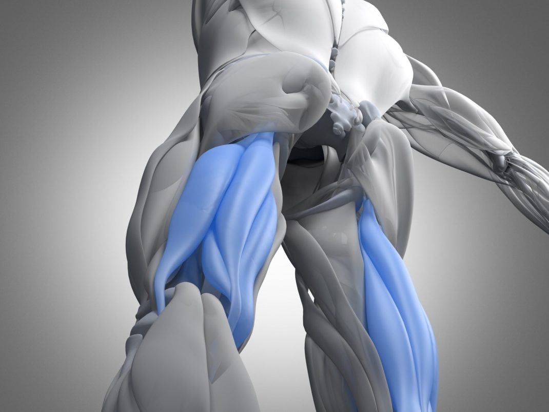 We've shopped the web for you, pulling tons of styles and brands for adjustable weight benches together in one place. Seated Hamstring Contractions Strategies and Variations