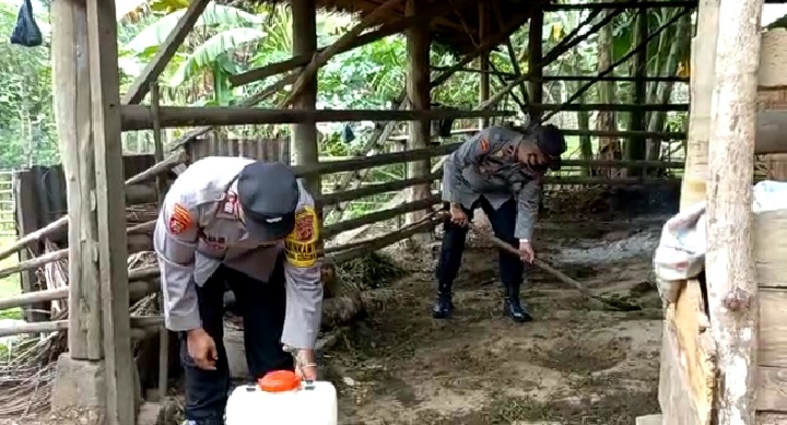 Dalam mencegah penyakit mulut dan kuku pada hewan ternak, personel polisi di Aceh melakukan penyemprotan Eco Enzyme di kandang ternak, Jum'at (17/6/2022)