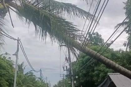 PLN Aceh menyatakan siaga atasi gangguan listrik saat cuaca ekstrem
