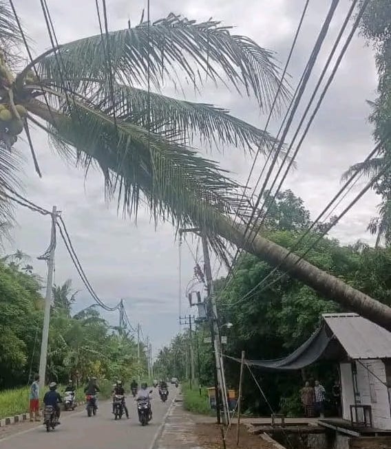 PLN Aceh menyatakan siaga atasi gangguan listrik saat cuaca ekstrem