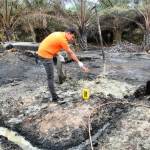 Sumur minyak tradisional yang berada di Desa Seuneubok Lapang, Kecamatan Peurelak Timur, Aceh Timur, kembali meledak, Kamis dini hari (13/10) dan menelan korban jiwa