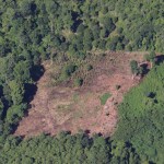 Aktivitas ilegal logging atau perambahan hutan diduga terjadi di lokasi proyek jalan Jantho (Aceh Besar) – Lamno (Aceh Jaya)
