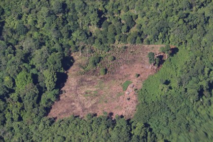 Aktivitas ilegal logging atau perambahan hutan diduga terjadi di lokasi proyek jalan Jantho (Aceh Besar) – Lamno (Aceh Jaya)