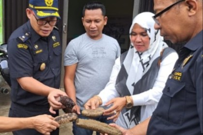 Pemilik Usaha Raseuki Laot Sabang Asnawi bersama pihak Bea Cukai Kota Sabang, mengamati teripang hasil tangkapannya, beberapa waktu lalu
