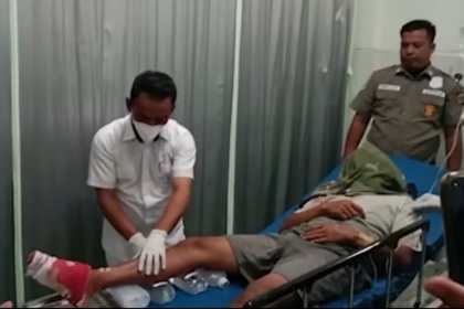 Dua petani mengalami luka-luka kritis diterkam Harimau Sumatera di di Gunung Sampali Desa Koto, Kluet Tengah Aceh Selatan, Rabu dini hari (1/2/2023)
