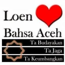 Perlu regulasi untuk menyelamatkan bahasa daerah Aceh dari ancaman kepunahan karena saat ini makin jarang digunakan oleh generasi muda