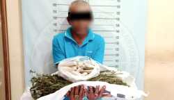 Personel Reskrim Polsek Delima Polres Pidie meringkus seorang kakek berinisial BS (60) karena kedapatan menyimpan 34 paket narkotika jenis ganja dalam bagasi sepeda motornya