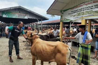 Pasar Hewan Sibreh Kecamatan Sukamakmur, Aceh Besar telah kembali beroperasi, Rabu (15/2)