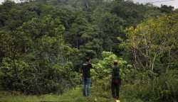 Hutan yang diusulkan sebagai hutan adat oleh Mukim Beungga di Kecamatan Tangse, Pidie