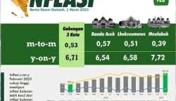 Angka inflasi di Kota Banda Aceh secara tahunan atau year on year (y-on-y) kembali naik yakni dari 5,58 persen pada Januari 2023 menjadi 6,54 persen pada Februari 2023