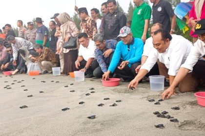 Pj Bupati Aceh Jaya Nurdin bersama Konjen Jepang Untuk Sumatera Takonai Susumu melepaskan Tukik Penyu di Pantai Aron Meubanja, Kecamatan Panga, Aceh Jaya pada Jum'at (10/3)