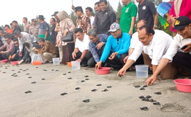 Pj Bupati Aceh Jaya Nurdin bersama Konjen Jepang Untuk Sumatera Takonai Susumu melepaskan Tukik Penyu di Pantai Aron Meubanja, Kecamatan Panga, Aceh Jaya pada Jum'at (10/3)