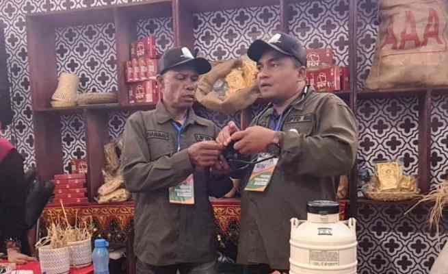 Petugas Disnak Aceh saat mendemonstrasikan penggunakan Visual Inseminasi Buatan Hendra (VIB-H), sebuah inovasi alat IB yang dilengkapi dengan kecerdasan buatan atau Artificial Intelligence, pada stand Aceh di lokasi Penas-KTNA XVI, Padang, Sabtu (10/6)