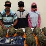 Tim Opsnal Satuan Reserse Narkoba Polres Lhokseumawe menangkap tiga pengedar narkotika jenis ganja di Desa Paya Lhok, Kecamatan Muara Dua