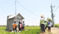 Semester I tahun 2023, realisasi program Elektrifikasi Pertanian atau Electrifying Agriculture (EA) PT PLN (Persero) tumbuh 22,28 persen