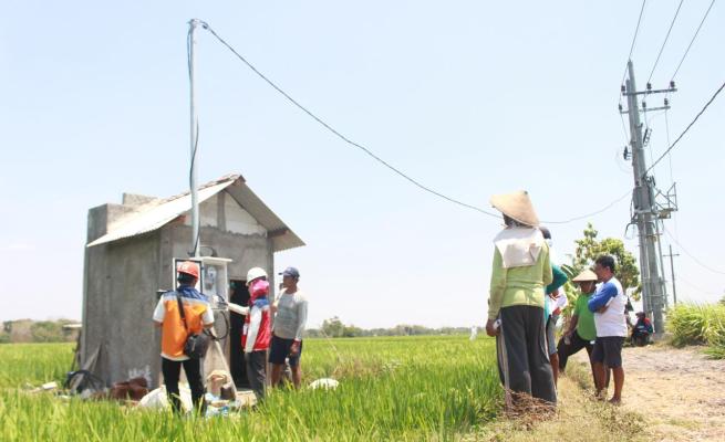 Semester I tahun 2023, realisasi program Elektrifikasi Pertanian atau Electrifying Agriculture (EA) PT PLN (Persero) tumbuh 22,28 persen