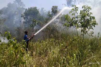 Kasus kebakaran hutan dan lahan terjadi sebanyak 84 kali di wilayah Kabupaten Aceh Besar hingga 27 Juli 2023