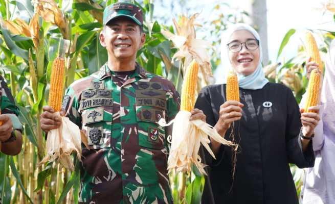 Pangdam Mayjen TNI Novi Helmy Prasetya didampingi Ketua Persit Kartika Chandra Kirana Daerah IM mengunjungi lahan Ketahanan Pangan Food Estate Korem 012/TU dalam rangka meninjau demplot program I’M Jagong, Rabu (2/8)