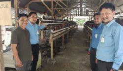 Maulidi bersama karyawan pembiayaan Bank Aceh Syariah saat meninjau peternakan ayam di Gampong Ceuraceu, Kecamatan Pasie Raya, Aceh Jaya
