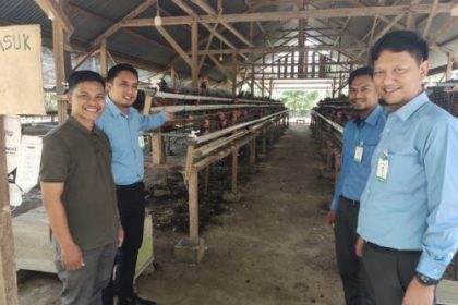 Maulidi bersama karyawan pembiayaan Bank Aceh Syariah saat meninjau peternakan ayam di Gampong Ceuraceu, Kecamatan Pasie Raya, Aceh Jaya