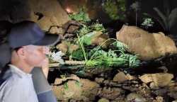 Tim gabungan masih terus berupaya mencari korban hilang akibat terseret longsor di Jalan Lintas Aceh - Sumut, Desa Lae Ikan, Kecamatan Penanggalan, Kota Subulussalam, yang terjadi pada Jum'at (27/10) malam