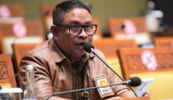 Anggota Komisi VI DPR RI asal Aceh Rafly Kande