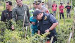 Pj Bupati Aceh Besar Muhammad Iswanto bersama Pj Ketua TP PKK Aceh Besar Cut Rezky Handayani didampingi Kadistan Aceh Besar Jakfar melakukan panen cabai merah di Gampong Leupung Bruek, Kecamatan Kuta Cot Glie, Jum'at (12/1/2024)