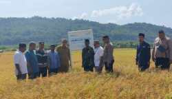 GM Witel Aceh Telkom Regional II T Fauzan meninjau lokasi Sumur Suntik bersama jajaran Forkopimcam Pulo Aceh, Selasa (16/1/2024)