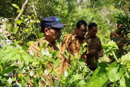 Kadis Sosial Aceh Muslem Yacob menelusuri aset tanah dan bangunan milik dinas yang terbengkalai akibat tsunami tahun 2004 di Desa Meunasah Lambaro, Mukim Lampu'uk, Kecamatan Lhoknga, Aceh Besar, Senin (22/1)
