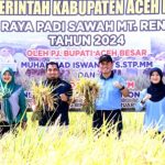 Pj Bupati Aceh Besar Muhammad Iswanto bersama Danlanud SIM Kolonel Pnb Yoyon Kuscahyono melakukan panen padi di area persawahan Lanud SIM, Blang Bintang, Aceh Besar, Selasa pagi (13/2). (FOTO: MC ACEH BESAR)