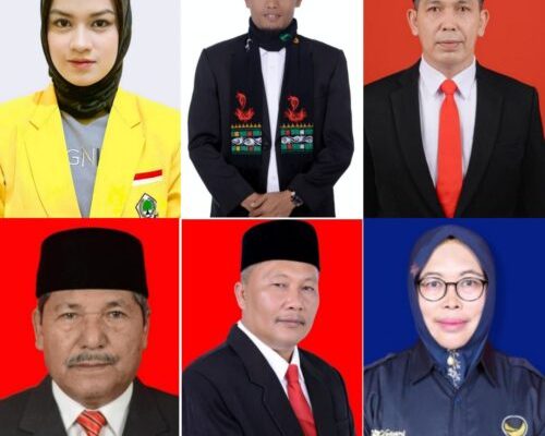Enam caleg terpilih dari Dapil 4 DPRA (Aceh Tengah-Bener Meriah) yakni Diana Putri Amelia dari Golkar, Salihin dari PKB, Salwani dari PDIP, Taufik dari Gerindra, Rahmuddinsyah dari PA dan Sutarmi dari Nasdem