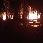 Sumur minyak ilegal di Gampong Alue Canang, Kecamatan Birem Bayeun, Aceh Timur dilaporkan terbakar, pada Kamis malam (30/5/2024). Foto: Istimewa