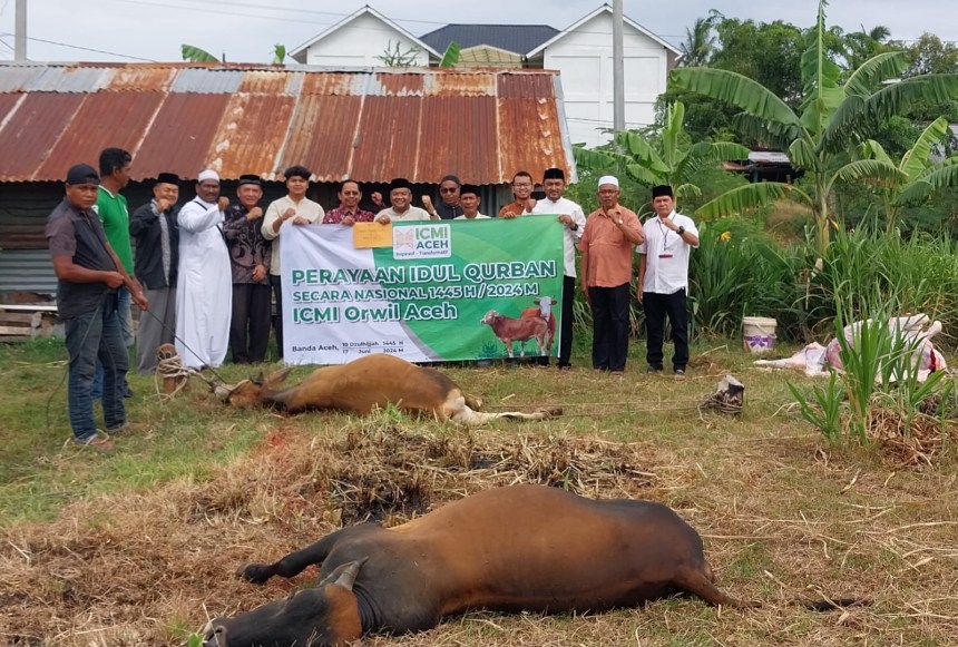 Pengurus ICMI Aceh pada Hari Raya Idul Adha 1445 Hijriah menyelenggarakan ibadah kurban dengan menyembelih empat ekor sapi. Foto: Istimewa