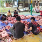 PT PLN Unit Induk Distribusi (UID) Aceh melaksanakan penyembelihan hewan kurban dalam rangka perayaan Idul Adha 1445 Hijriah. (Foto: Humas PLN Aceh)