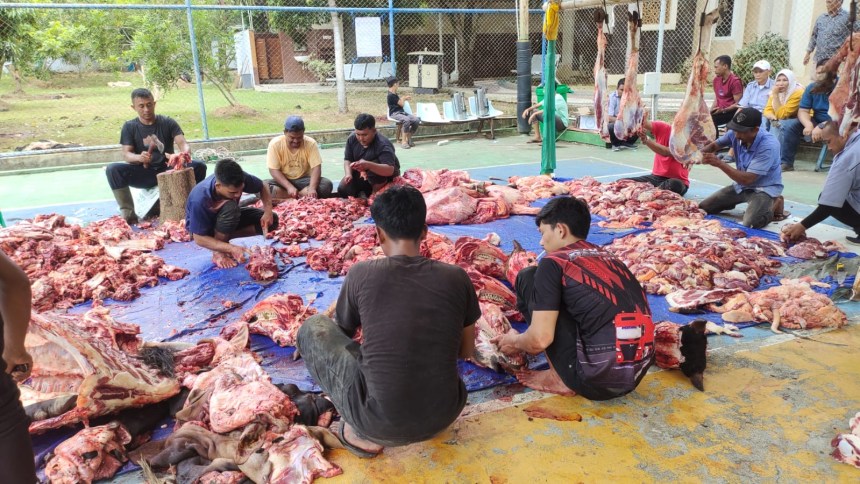 PT PLN Unit Induk Distribusi (UID) Aceh melaksanakan penyembelihan hewan kurban dalam rangka perayaan Idul Adha 1445 Hijriah. (Foto: Humas PLN Aceh)
