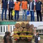Penyidik Subdit Tipidter Ditreskrimsus Polda Aceh menyerahkan 2 tersangka kasus illegal logging berinisial MT (45) dan MY (37) ke Kejari Pidie Jaya, Kamis, 21 November 2024. (Foto: For Infoaceh.net)