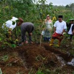 Pertamina Patra Niaga Sumbagut memberi edukasi pemupukan kepada petani kopi di Bener Meriah, pada 3-4 Desember 2024