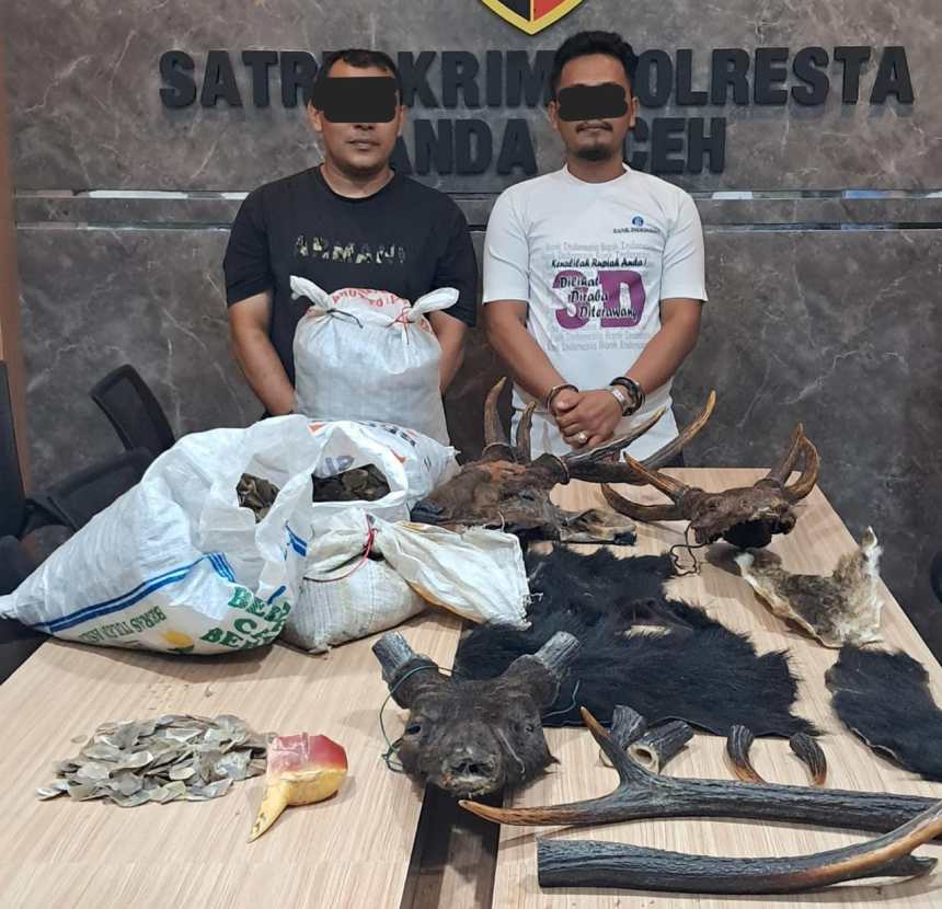 Satreskrim Polresta Banda Aceh menangkap 2 pelaku perdagangan satwa liar dilindungi di kawasan Peukan Bada, Aceh Besar. (Foto: Dok. Humas Polresta Banda Aceh)
