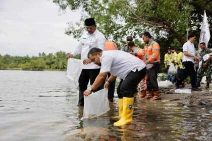 Pj Gubernur Aceh Safrizal ZA dan Pj Bupati Aceh Besar Muhammad Iswanto melepas ribuan bibit ikan kakap putih di Krueng Raba, Quarry Clay PT SBA, Lhoknga, Aceh Besar, Rabu (18/12). (Foto: For Infoaceh.net)