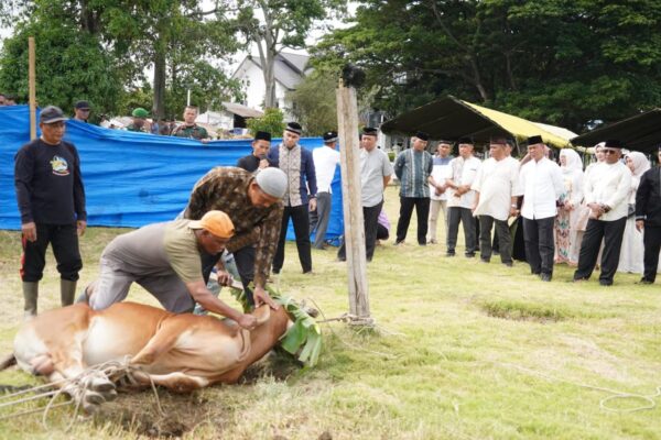 Kasdam IM Brigjen TNI Ayi Supriatna menyaksikan penyembelihan hewan kurban di Makodam IM, Jum'at (6/6/2025).