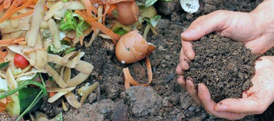 Compost: Qué hacer desde el hogar para ayudar al medio ambiente