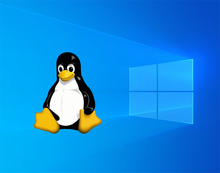 Linux Subsystem for Windows