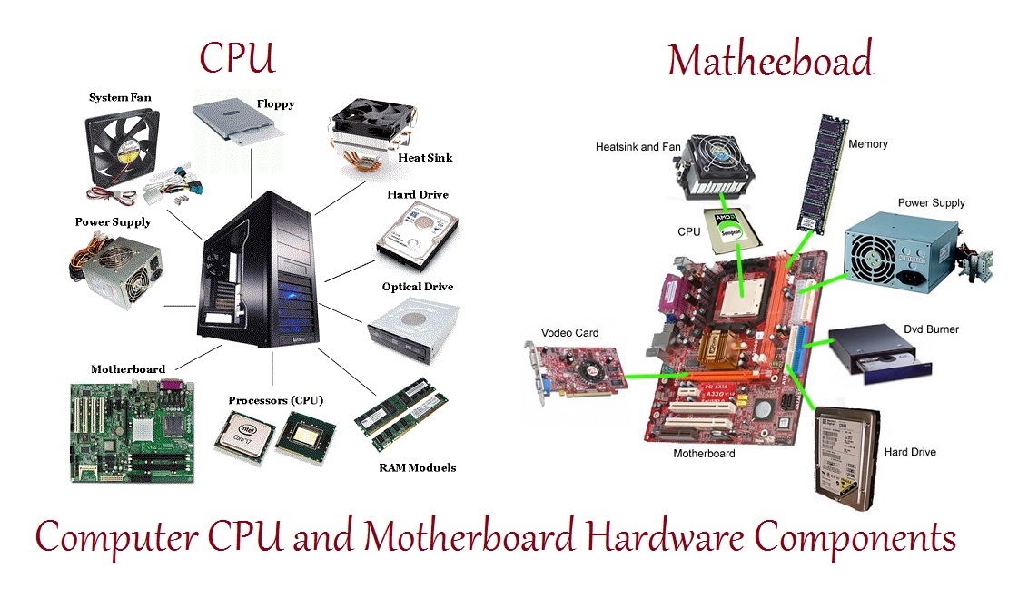 About The Basic Parts Of A Puter With Devices For Kids Inforamtionq Optical Drive DVD RW and SATA capable 4. About The Basic Parts Of A Puter With Devices For Kids Inforamtionq The most basic computer setup usually includes the computer case monitor keyboard and mouse but you can plug many different types of devices into the extra ports on your computer.