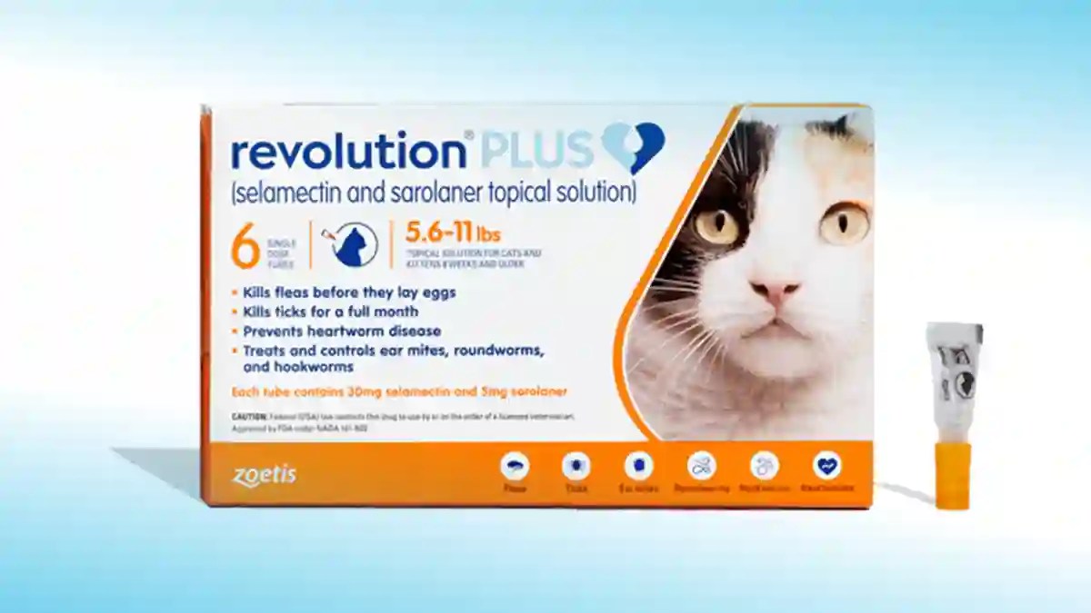 Revolution Plus Revolution Plus