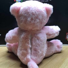 REM proximity bear ghost hunting haunted doll