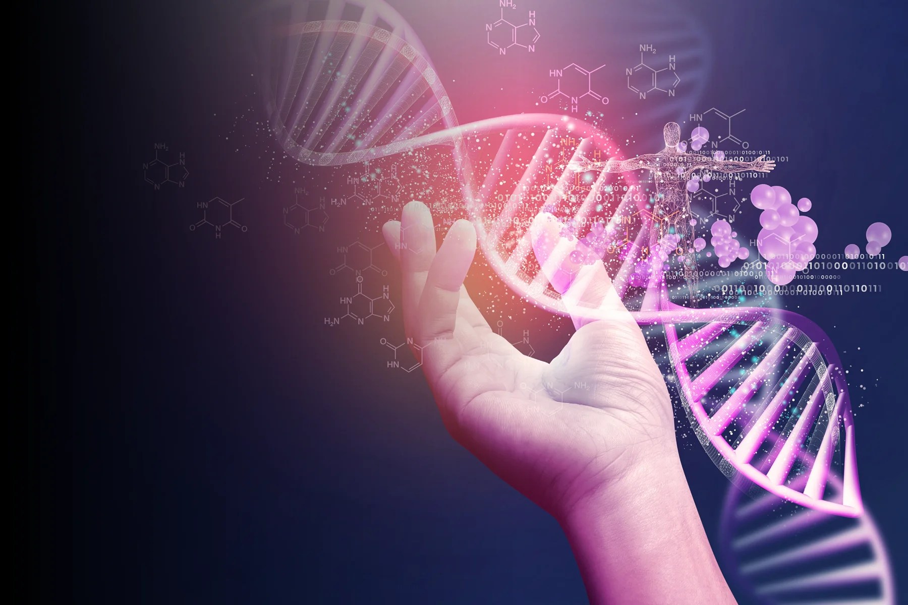 Blended Learning Leadership Development